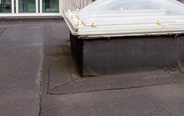 disadvantages of Eyre flat roofs