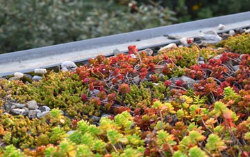 the cost of Eyre green roof installation
