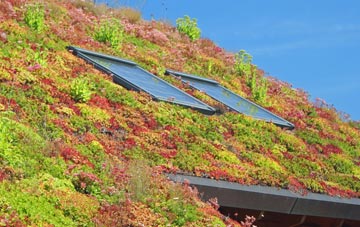 Eyre living roof systems