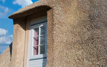 Eyre thatch roof disadvantages